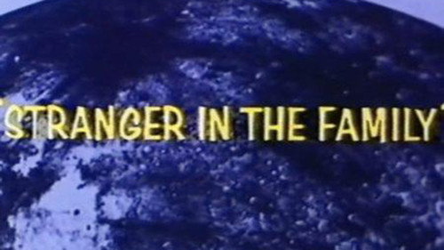 Stranger in the Family