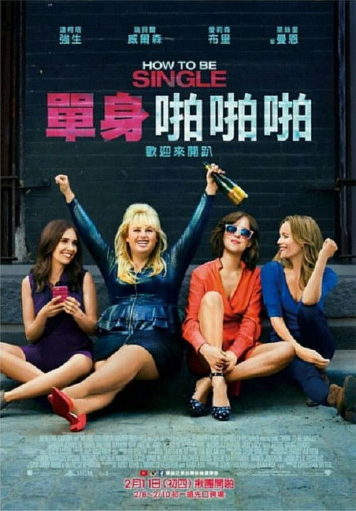 单身指南电影海报