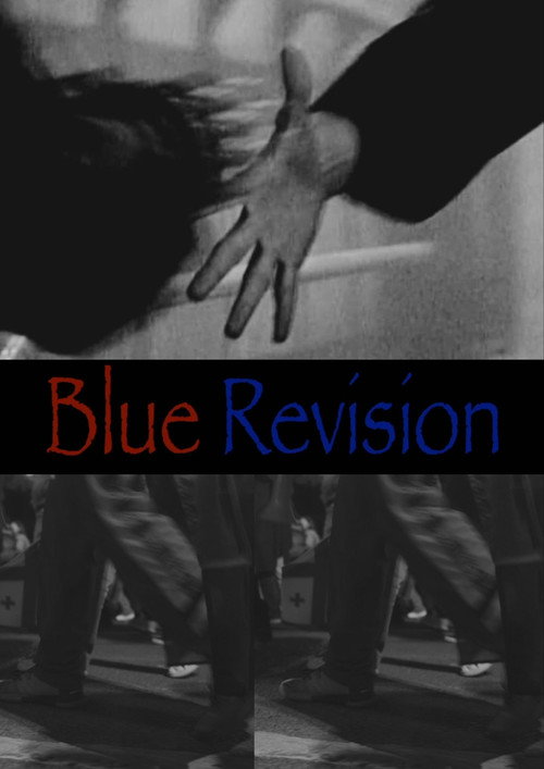 Blue Revision Poster