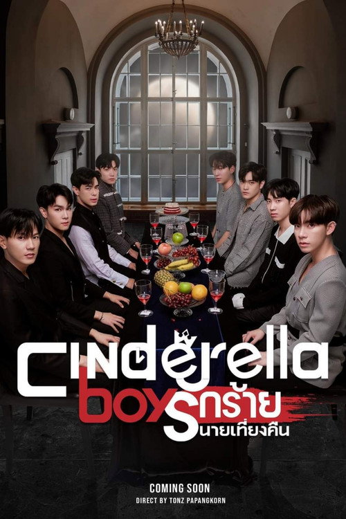 Cinderella Boys poster 4