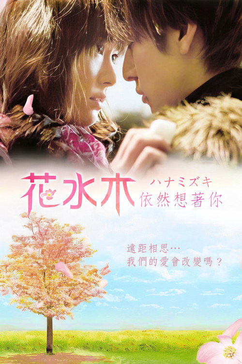 花水木电影海报