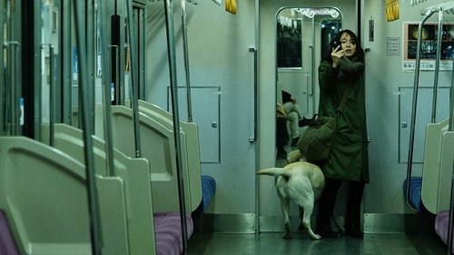 見えない目撃者 (2019) Regarder Film complet Streaming en ligne