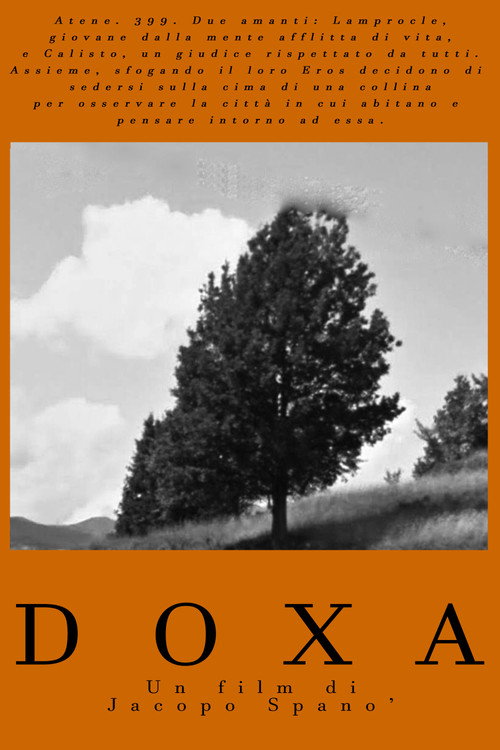 S O N O  G L I   A L T R I poster 2