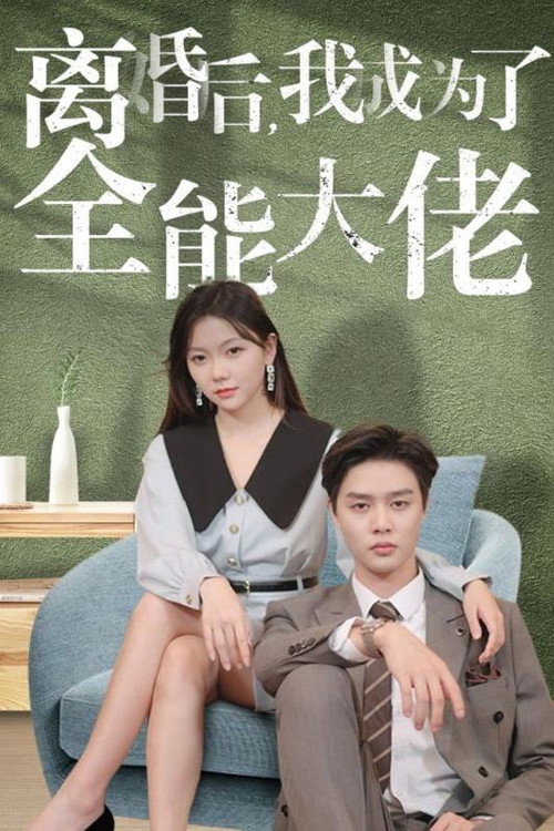 离婚后，我成为了全能大佬电影海报