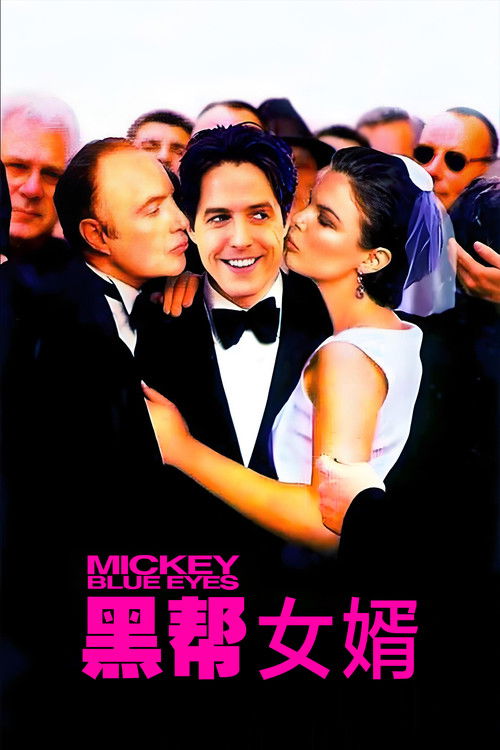 黑帮女婿电影海报