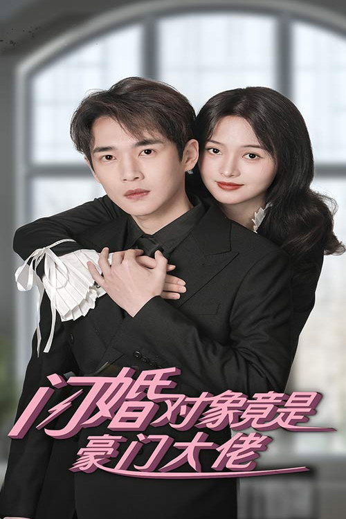闪婚对象竟是豪门大佬电影海报