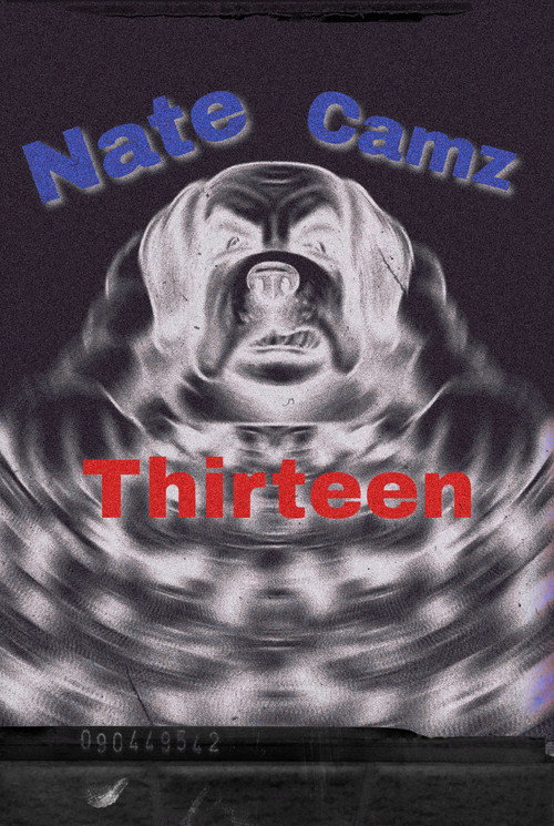 Natecamz 13's poster