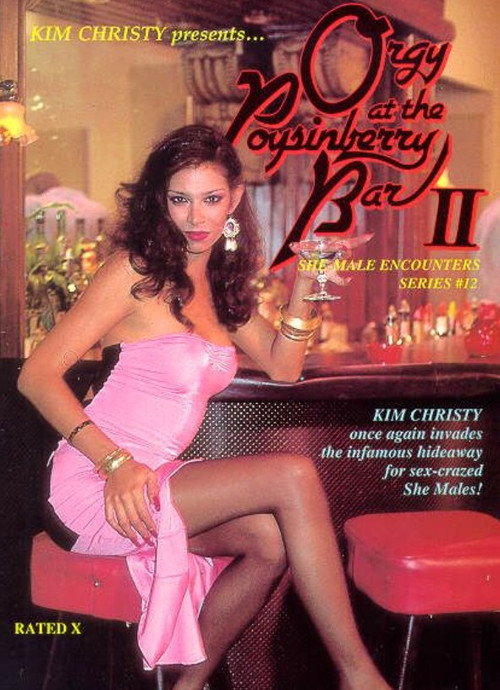She-Male Encounters 12: Orgy at the Poysinberry Bar 2 Poster