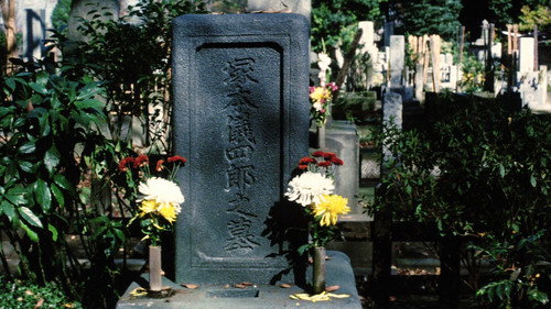 image47