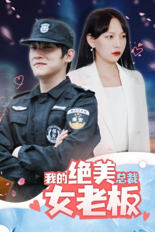 我的绝美总裁女老板电影海报
