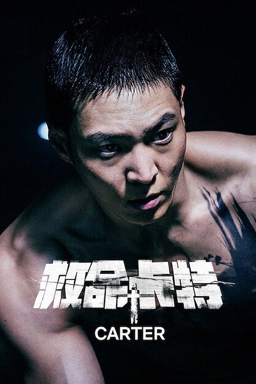 救命卡特电影海报