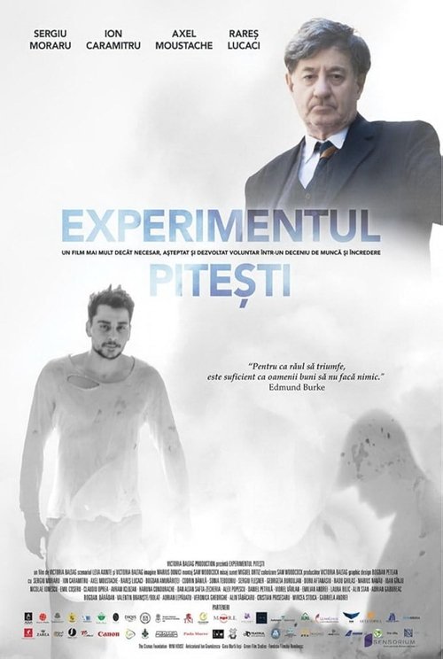 Experimentul+Pite%C8%99ti