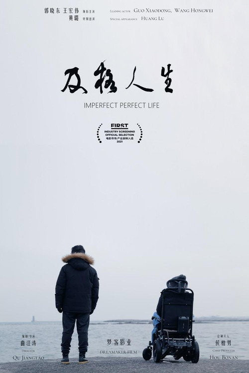 Imperfect Perfect Life poster 2