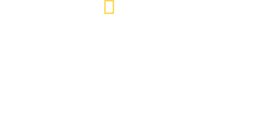 movies