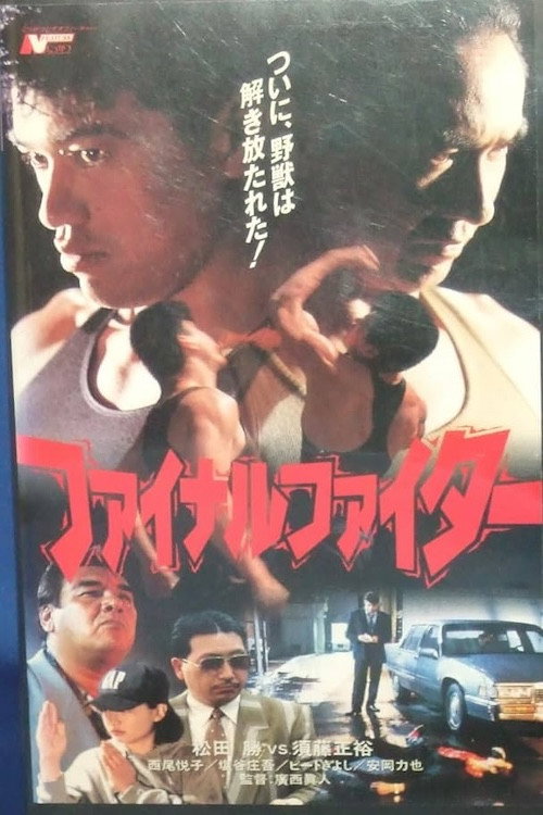 Final Fighter poster 2