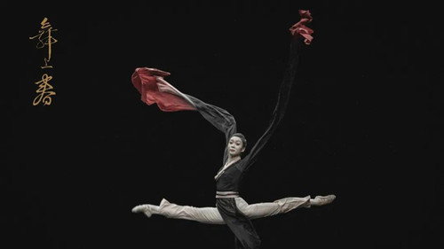 舞上春：中国歌剧舞剧院舞剧团业务考核展示 (2021) PHIM ĐẦY ĐỦ [VIETSUB]