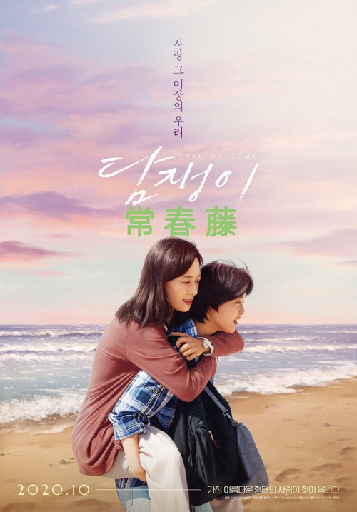 常春藤电影海报