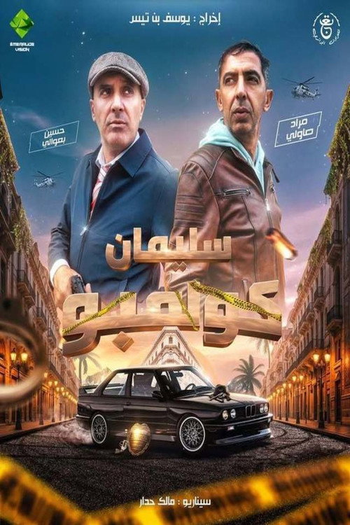 Ayla Mayla poster 8