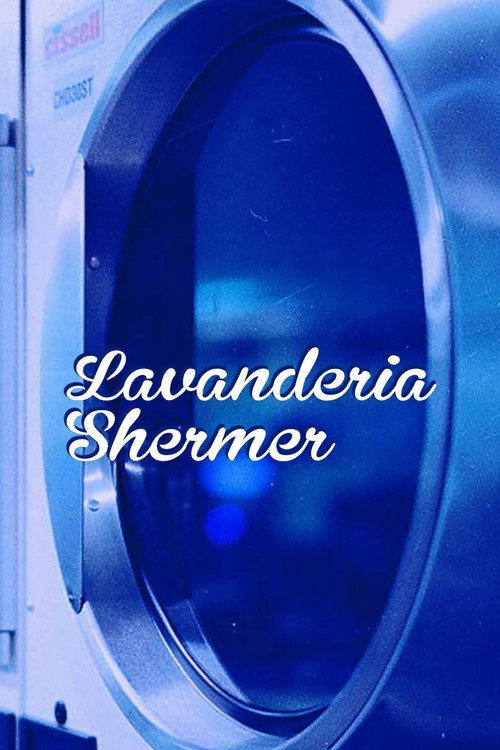 Lavanderia Shermer poster 2