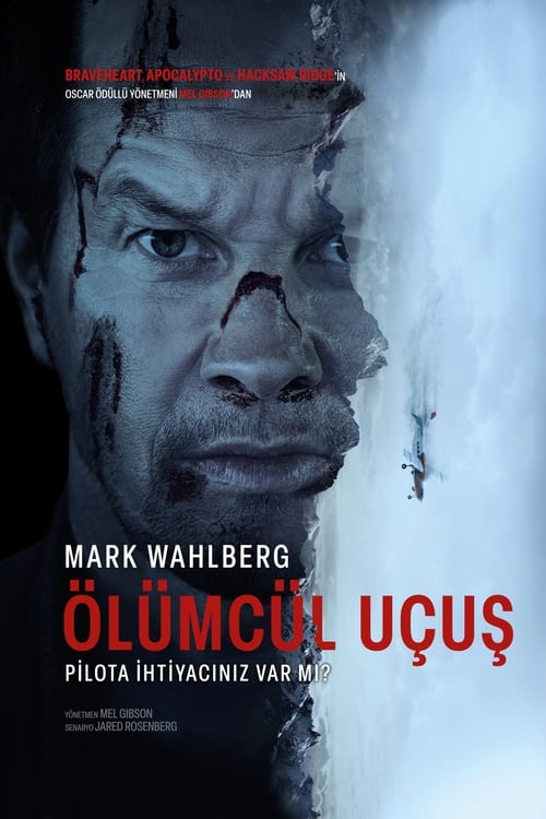 Cinefrex Flight Risk Poster