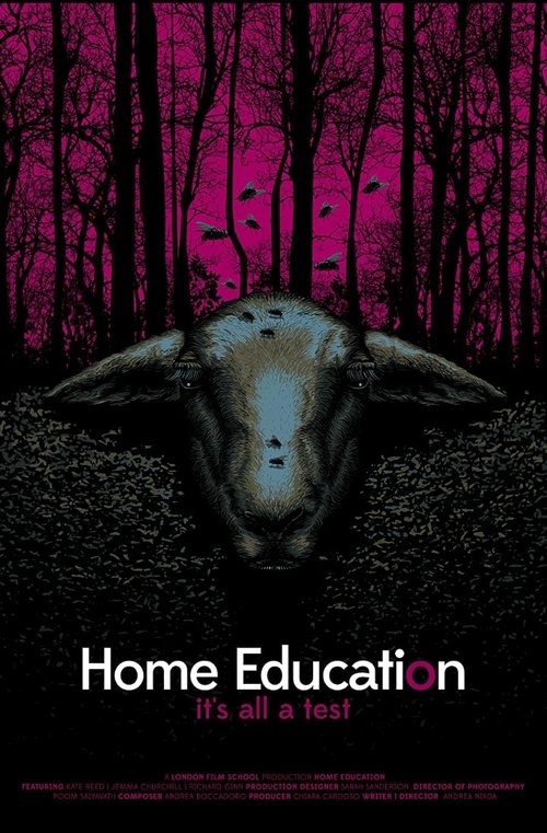 Home+Education