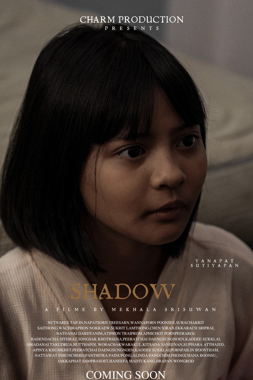 Shadow poster 3