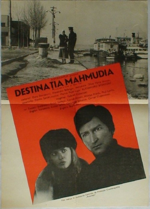 Destination Mahmudia Poster