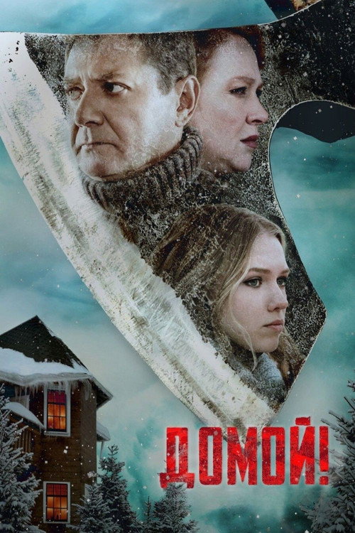 Домой poster 4