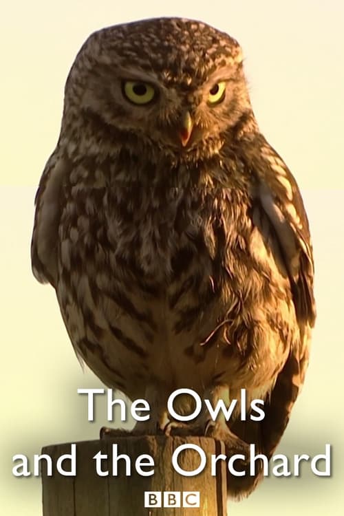 The+Owls+and+the+Orchard