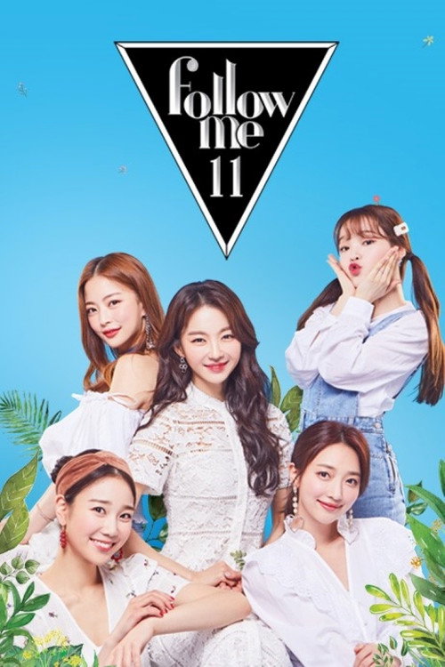 Follow Me poster 4
