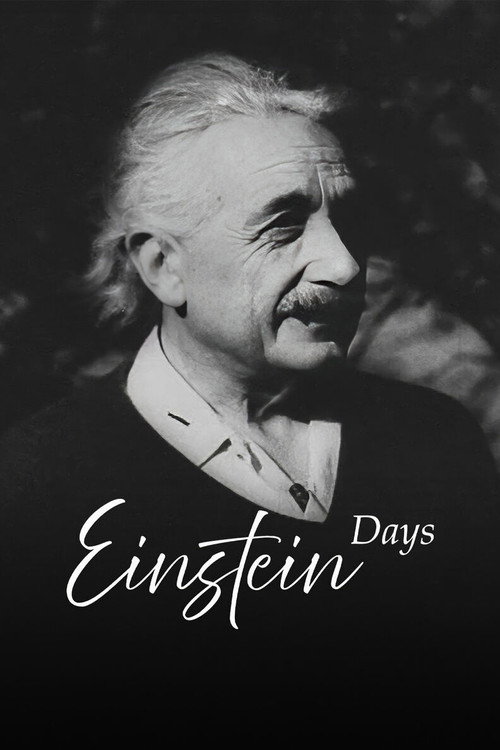 Einstein days电影海报