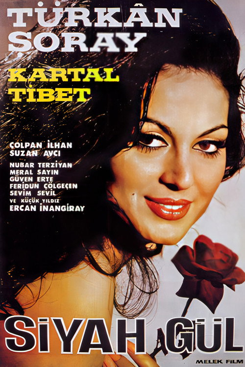 Black Rose poster 3