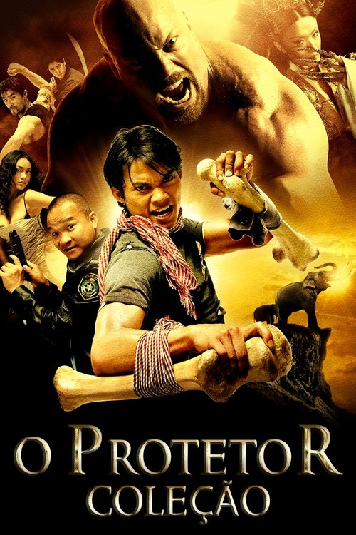 O Protetor (TonyJaa): Coleção