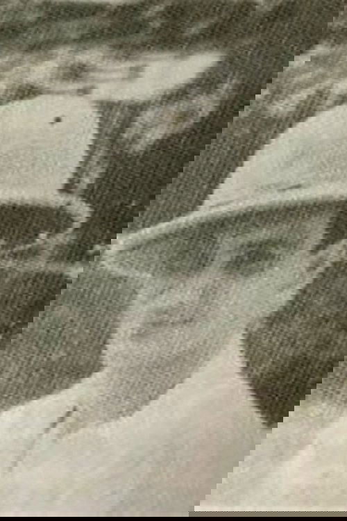 JJW Steffens