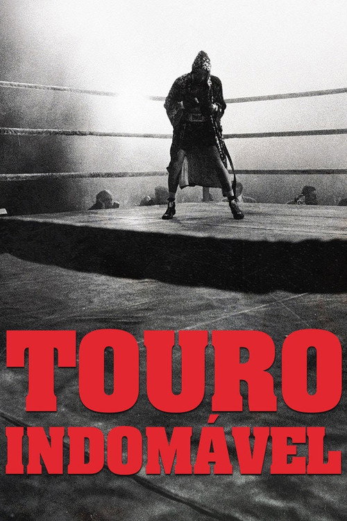 Download Touro Enraivecido (1980) Watch Full HD Movie Streaming Online