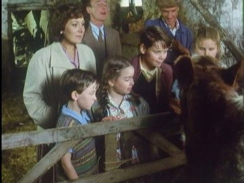 Ace, King, Queen, Jack