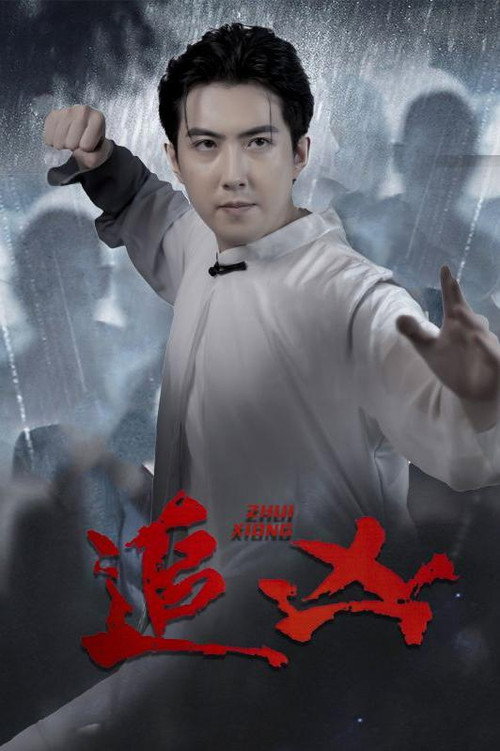 追凶电影海报