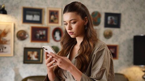 翠鸟第2季第34集