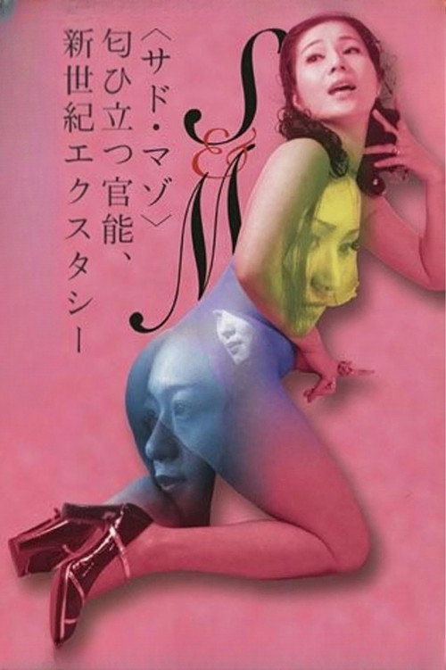 Sadistic and Masochistic poster 2