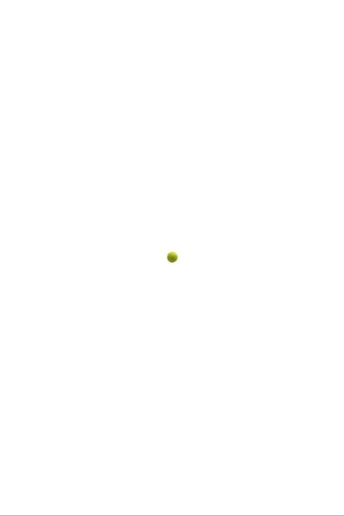 The Tennis Ball
