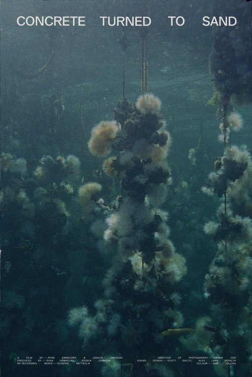 Concrete Turned to Sand