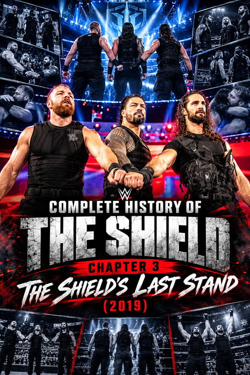 Complete History of The Shield - Chapter 3 Poster