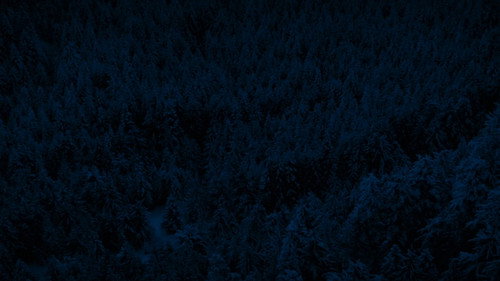 image62