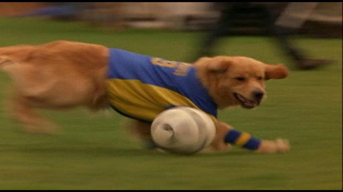 Air Bud: World Pup phiên bản đầy đủ 2000