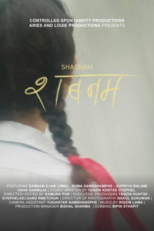 शबनम电影海报