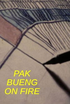 Pak Bueng on Fire