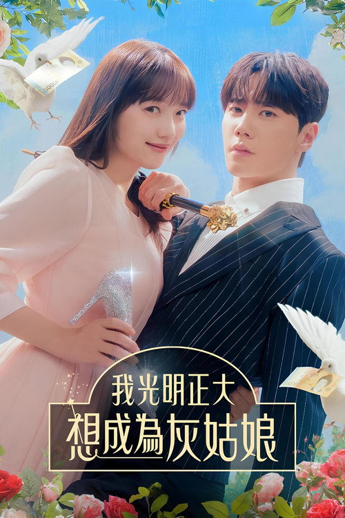 我公然梦想成为灰姑娘电影海报