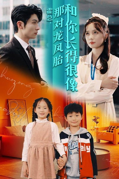 霍总，那对龙凤胎和你长得很像海报