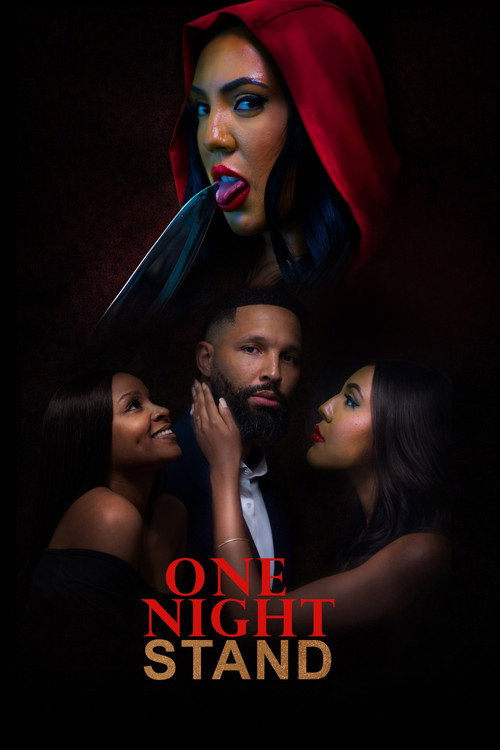 One Night Stand Poster