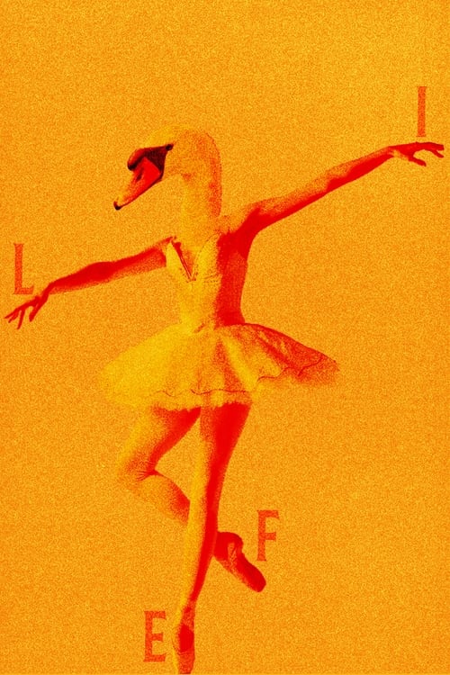 Untitled Project About Love etc. poster